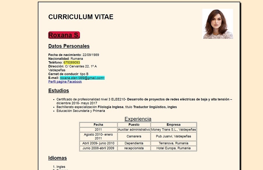 curriculum css